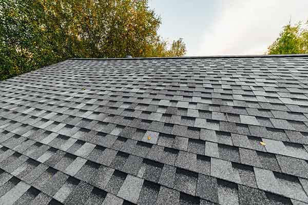 Shingle Roof Installation